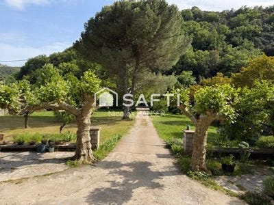 /international/fr/saint-jean-du-pin-languedoc-roussillon-310107707311/