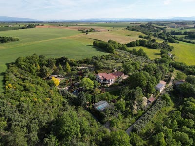 /international/fr/valensole-provence-alpes-cote-d-azur-310102271483/