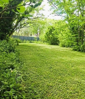 /international/fr/castelginest-midi-pyrenees-310107563776/