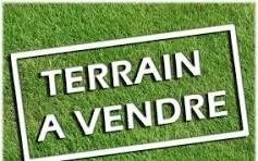 /international/fr/coex-pays-de-la-loire-310100015203/