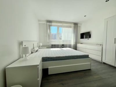 /international/fr/avenue-de-colmar-strasbourg-alsace-310099937791/