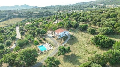 /international/fr/santo-pietro-di-tenda-corsica-310106576556/