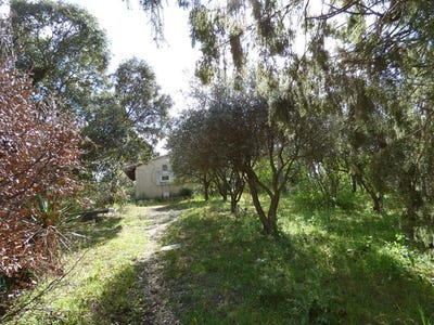 /international/fr/rochefort-du-gard-languedoc-roussillon-310109239675/