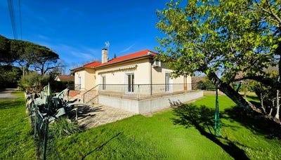 /international/fr/saint-lys-midi-pyrenees-310107374948/