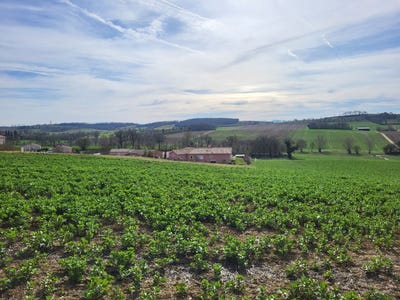/international/fr/puycasquier-midi-pyrenees-310107557633/
