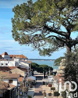 /international/fr/arcachon-aquitaine-310103096516/