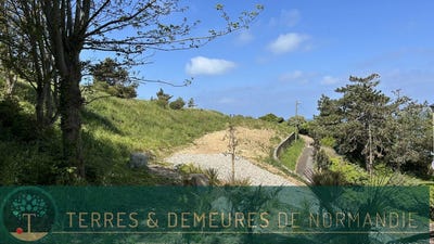 /international/fr/dieppe-upper-normandy-310100041016/
