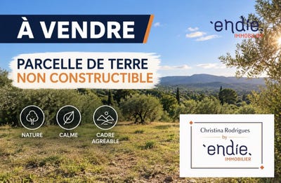 /international/fr/lorgues-provence-alpes-cote-d-azur-310120468382/