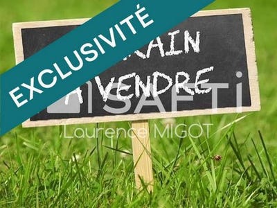 /international/fr/lusanger-pays-de-la-loire-120096081768/
