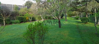 /international/fr/sauve-rhone-120088751678/