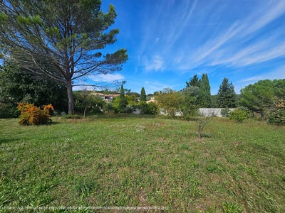 /international/fr/lorgues-provence-alpes-cote-d-azur-310101208476/