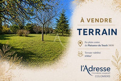 /international/fr/plaisance-du-touch-midi-pyrenees-310107737178/