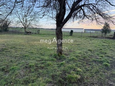 /international/fr/gron-burgundy-310105302053/