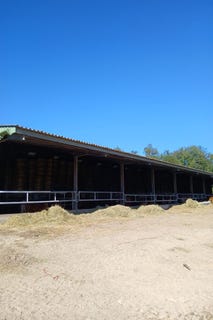 /international/fr/ladignac-le-long-limousin-310108650654/