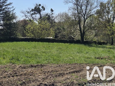 /international/fr/saint-simon-de-bordes-charente-310108598705/