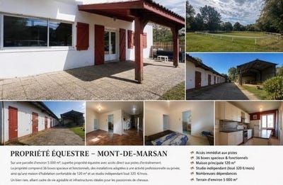 /international/fr/mont-de-marsan-aquitaine-310108374565/
