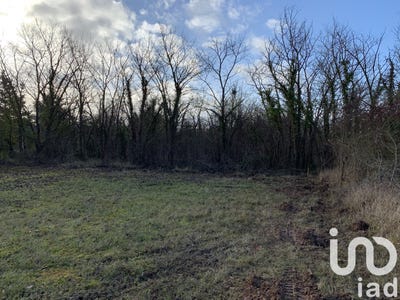 /international/fr/misy-sur-yonne-ile-de-france-310102964467/