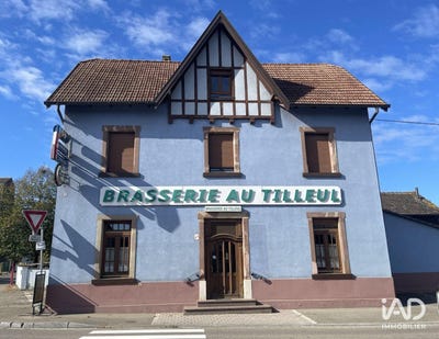 /international/fr/artolsheim-alsace-310105056376/