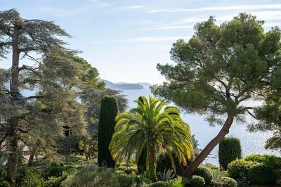/international/fr/toulon-provence-alpes-cote-d-azur-310108455189/