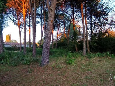 /international/fr/prades-le-lez-languedoc-roussillon-310109094059/
