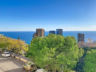 /international/fr/roquebrune-cap-martin-provence-alpes-cote-d-azur-310105074431/