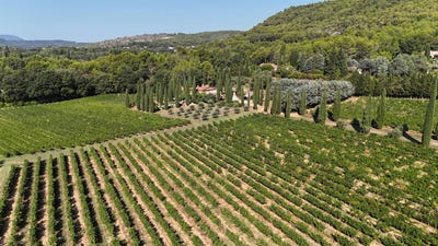 /international/fr/villecroze-provence-alpes-cote-d-azur-310101087212/