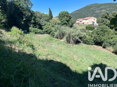 /international/fr/pietrosella-corsica-310108785286/