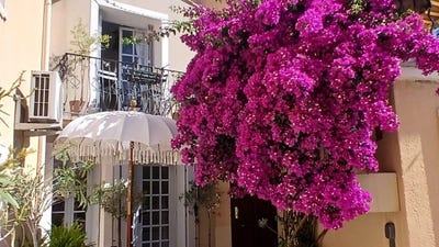 /international/fr/meze-languedoc-roussillon-310108454865/
