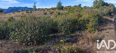 /international/fr/st-paul-de-fenouillet-languedoc-roussillon-310108052603/
