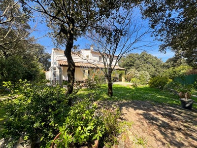/international/fr/uzes-languedoc-roussillon-310110007813/