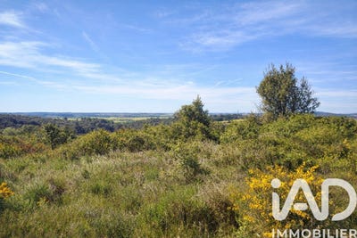 /international/fr/neffies-languedoc-roussillon-310107422988/