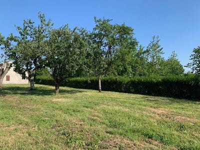 /international/fr/nuits-saint-georges-nuits-saint-georges-burgundy-310108481728/