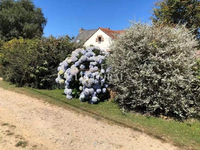 /international/fr/pleumeur-bodou-brittany-310105832653/