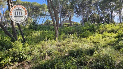 /international/fr/rognac-provence-alpes-cote-d-azur-310108137549/