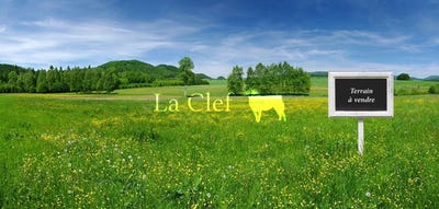 /international/fr/bordeaux-ile-de-france-310099616785/