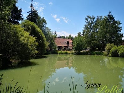 /international/fr/sully-sur-loire-centre-val-de-loire-310106944405/