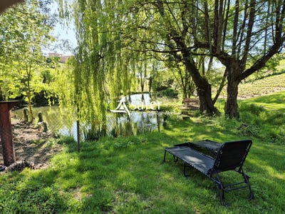 /international/fr/villie-morgon-rhone-310108316672/