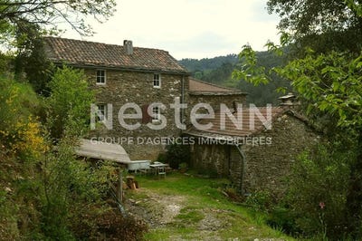 /international/fr/saint-etienne-vallee-francaise-languedoc-roussillon-310108429679/