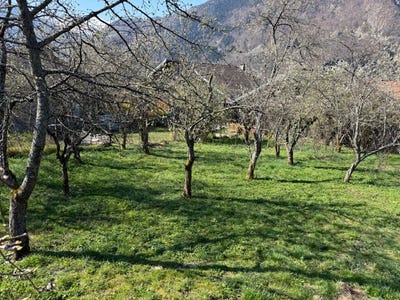 /international/fr/la-lechere-rhone-310106772950/