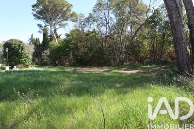 /international/fr/escales-languedoc-roussillon-310104179537/