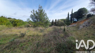 /international/fr/la-palme-languedoc-roussillon-310105819275/