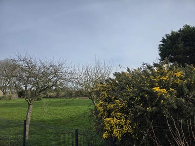 /international/fr/fecamp-upper-normandy-310108314716/