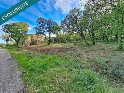 /international/fr/dio-et-valquieres-languedoc-roussillon-310103816126/