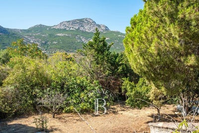 /international/fr/calvi-corsica-310100610562/