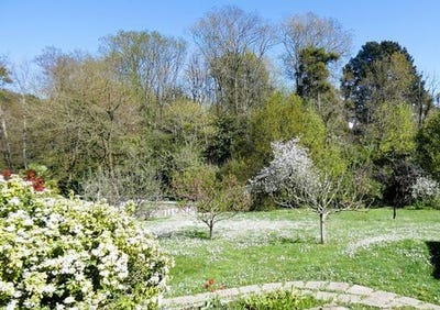 /international/fr/orvault-pays-de-la-loire-310101389329/