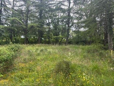 /international/fr/cahors-midi-pyrenees-310109225581/