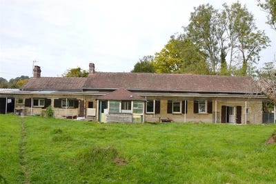 /international/fr/courtomer-la-basse-normandie-310102932479/