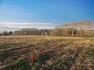 /international/fr/champagne-ardennes-310104470790/