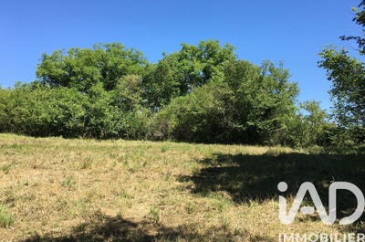 /international/fr/vivonne-charente-310103815418/