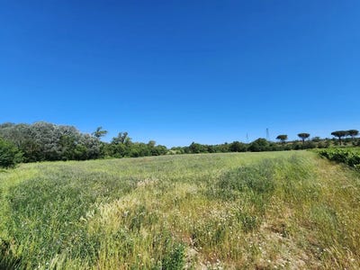 /international/fr/trebes-languedoc-roussillon-310108460221/